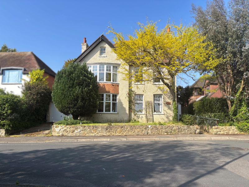 Main Image